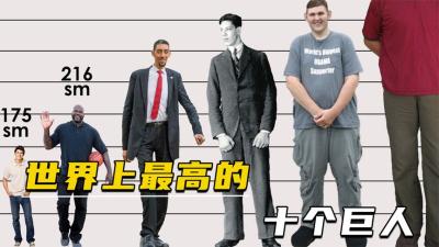 西班牙的超级游轮，香槟珠宝马戏团，买张票就成土皇帝过神仙日子-吾爱原创解说文案