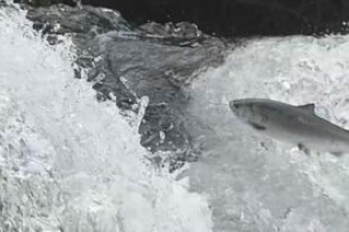 [原创][吾爱原创]惊悚犯罪片《解冻》电影解说文案-[原创首发]-吾爱文案网