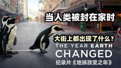 当人们因疫情被困在家中时，外面的世界却在悄悄开始改变，纪录片-原创解说文案