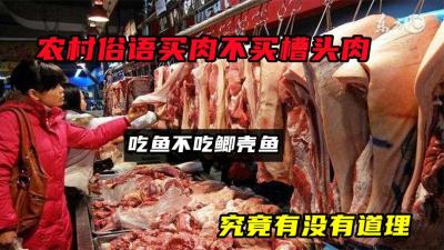 农村俗语“买肉不买槽头肉，吃鱼不吃鲫壳鱼”，究竟有没有道理？-原创解说文案