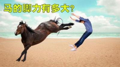 马儿的脚力有多大呢？盘点马儿脚力爆发的3个瞬间，真是太可怕了-原创解说文案