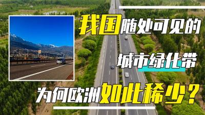 绿化带在中国随处可见，为何热衷环保的欧洲国家，几乎很少见？-原创解说文案