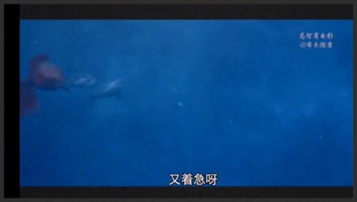 《血鲨》惊悚片《血鲨》非法基因改造，竟意外让大白鲨拥有人类的智慧！《血鲨2020》-吾爱原创解说文案-[原创首发]-吾爱文案网