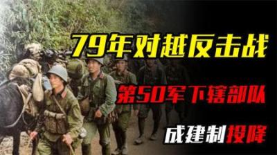 [视]79年对越反击战，第50军下辖部队成建制投降，事后是如何处置的-原创解说文案