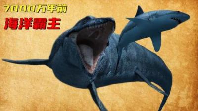 7000万年前，统治整个海洋的沧龙，究竟有多可怕？-吾爱原创解说文案
