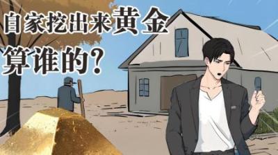 家里挖出黄金，归你所有吗？-原创解说文案