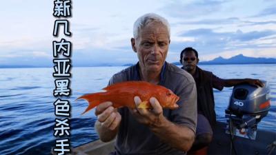 河中巨怪：新几内亚火山岛下的黑色杀手，吓得地居民不敢下水！-吾爱原创解说文案