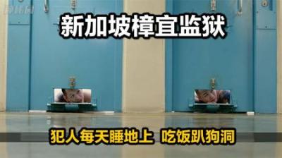 新加坡狗窝监狱，犯人趴地上等投喂，睡觉连床都没有，监狱纪录片-原创解说文案