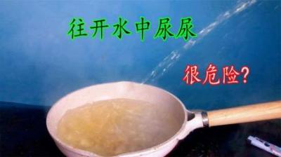 千万不要对着热水嘘嘘，神奇的马拉高尼效应，你知道吗？-原创解说文案