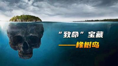一夜暴富还是倾家荡产？传闻宝藏无数的橡树岛，埋藏着什么秘密？-吾爱原创解说文案