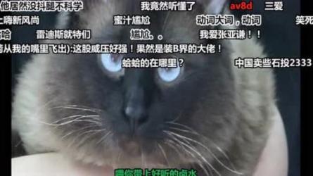 杨博速写插画实战营第1期-课程-网盘资源分享