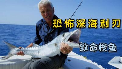 河中巨怪：能在海底高速游动，并刺穿人身体的深海利刃！-原创解说文案