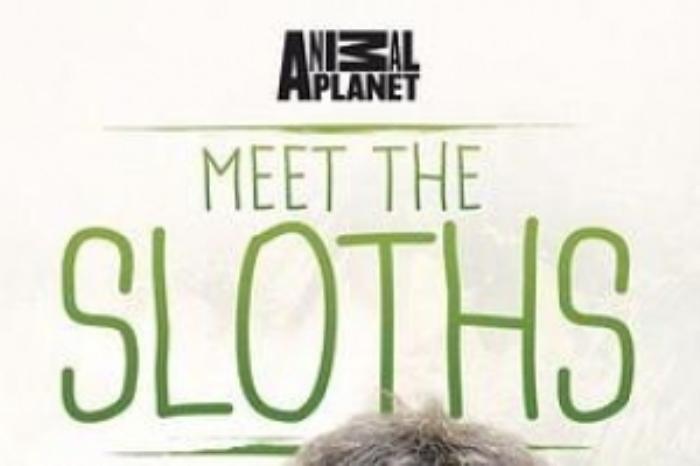 [原创][吾爱原创]惊悚电影《杀人树懒》解说文案-[原创首发]-吾爱文案网