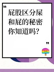 你知道屁股区分屎和屁的秘密吗