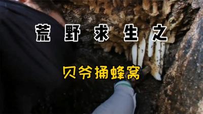 荒野求生：贝爷行走江湖多年，这次被蜜蜂教做人了！-原创解说文案