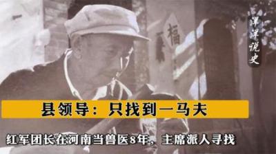 [视]红军团长在河南当兽医8年，主席派人寻找，县领导：只找到一马夫-原创解说文案