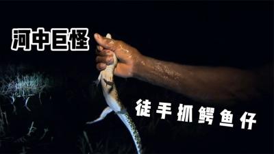 河中巨怪：从水下撕扯渔民的身体，被当地人误认为水鬼的可怕杀手-原创解说文案
