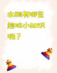 水獭趣味小知识大揭秘