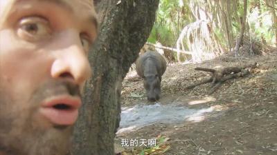 单挑荒野：德爷来到非洲三角洲和狒狒抢领地，却引来了大河马！-原创解说文案