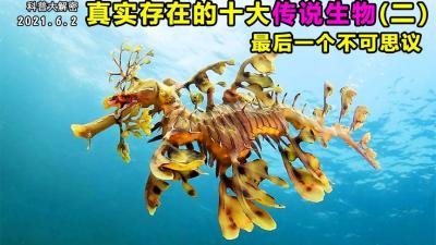 真实存在的神奇生物二，最后一个无法相信它的存在-原创解说文案