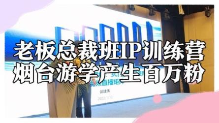 百万IP实战训练营课程，完整的IP孵化方法-课程-网盘资源分享
