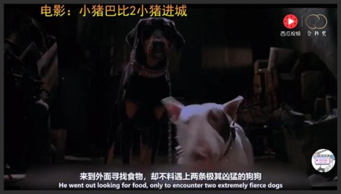 《小猪巴比2》几分钟看完《小猪巴比2》聪明小猪如何挽救主人的农场《小猪进城》-吾爱原创解说文案-[原创首发]-吾爱文案网