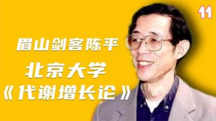 经济代谢增长论（陈平教授）-课程-网盘资源分享