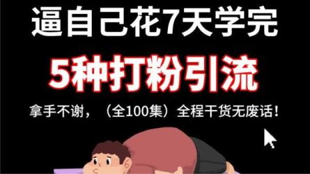 知识IP流量井喷营第2期，打造一套倍速吸粉、引流、转化...-课程-网盘资源分享