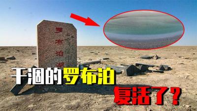 干涸多年的罗布泊，现在为什么又碧波万顷？这么多水哪来的？-原创解说文案