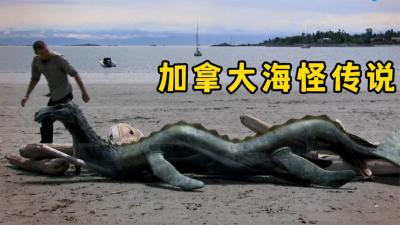 怪物传说：大量加拿大居民在海边目击蛇形海怪，犹如拖拉机轮胎！-吾爱原创解说文案