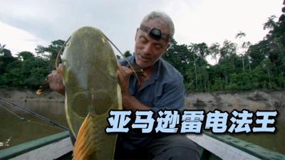 河中巨怪：亚马逊河同时出现三起水下烧焦案件，凶手竟是一条鱼！-原创解说文案