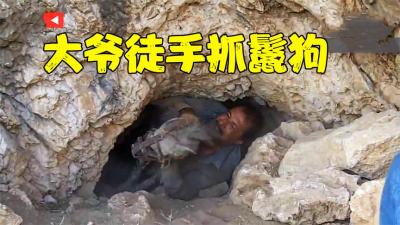阿拉伯的天才猎人，徒手钻进洞里抓鬣狗，神技术把鬣狗瞬间拿下-原创解说文案