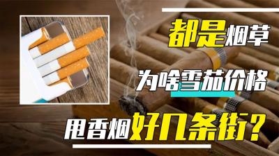 同是烟草制品，为何雪茄比传统香烟贵那么多？它俩到底有啥区别？-原创解说文案