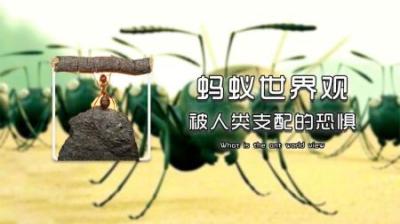 蚂蚁的宇宙观！怎样证明你不是这只蚂蚁？非常有意思的思维观念！-原创解说文案