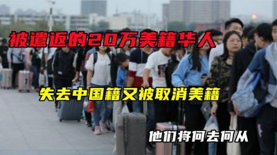 被遣返的20万美籍华人，失去中国籍又被取消美籍，他们将何去何从-原创解说文案