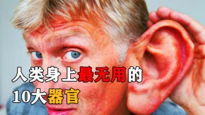 人类身上作用最不明显的10大器官，一部分人已经消失，你还有吗？-原创解说文案
