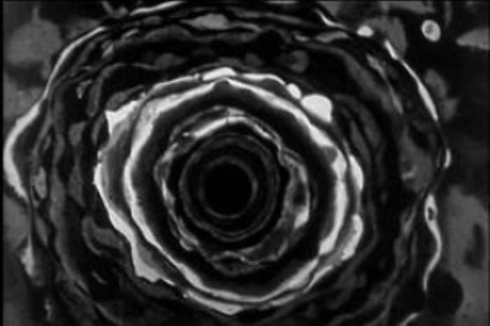 [原创][吾爱原创]惊悚恐怖片《噩梦实验》电影解说文案-[原创首发]-吾爱文案网