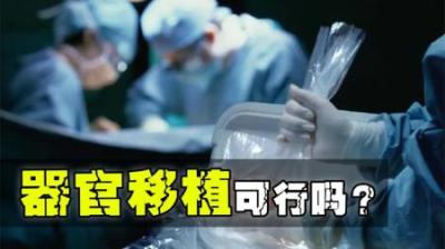 器官移植——救人于水火、挽救患者生命的医疗手段，难度有多高？-吾爱原创解说文案
