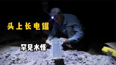 河中巨怪：头上长电锯的神秘水怪，传闻可以将船砍断吃掉渔民！-吾爱原创解说文案