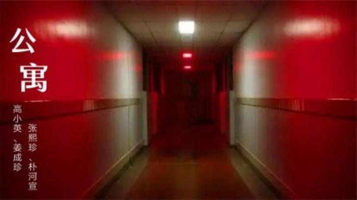 《公寓》是由高小英、姜成珍、张熙珍、朴河宣主演的恐怖电影，于2006年在韩国上映。该片讲述了一处精致的公寓，在圣诞节期间连续发生命案所引发的一系列恐怖故事。-吾爱原创解说文案-[原创首发]-吾爱文案网