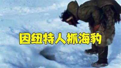 北极冰川的天才因纽特人，生吃海豹肉，再挖个洞神技术钓海豹-原创解说文案
