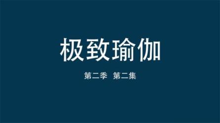 极致瑜伽-课程-网盘资源分享