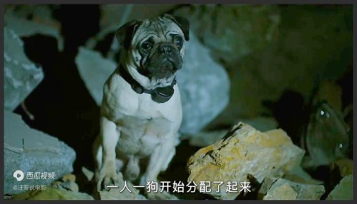 《隧道》韩国高分电影《隧道》，比天灾更可怕的是人心，挑战人类极限生存-吾爱原创解说文案-[原创首发]-吾爱文案网