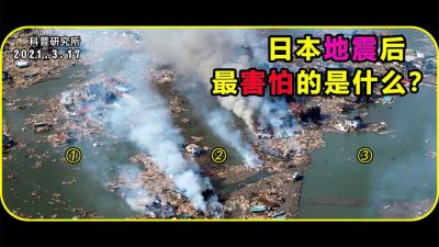 你知道日本是怎么预防海啸的吗？-原创解说文案