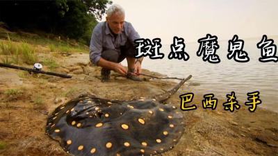 河中巨怪：能瞬间杀害三名牛仔的浅滩杀手，当地渔民无人敢惹！-原创解说文案