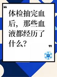 体检抽血后，血液都经历了啥？