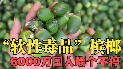 国际公认的“软性毒品”槟榔，6000万中国人却嚼个不停，偏不听劝-原创解说文案
