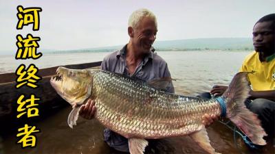 河中巨怪：非洲刚果河独有的恶魔鱼，经常残害河边的渔民！-吾爱原创解说文案