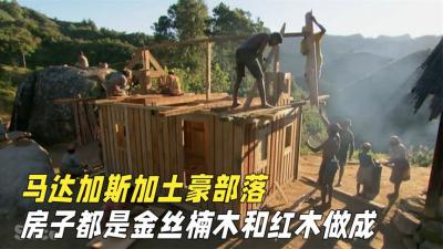 纪录片：马达加斯加的土豪原始人，红木多如白菜，修房全套紫檀木-原创解说文案
