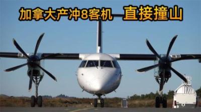 新西兰安捷航空703空难，飞机在一个羊圈旁坠毁，机长成了背锅人-原创解说文案